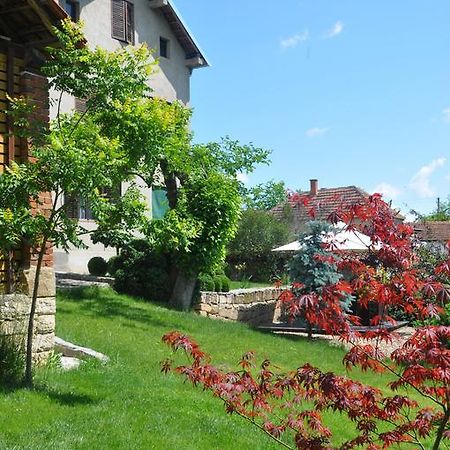 Guesthouse Djuric Negotin Esterno foto