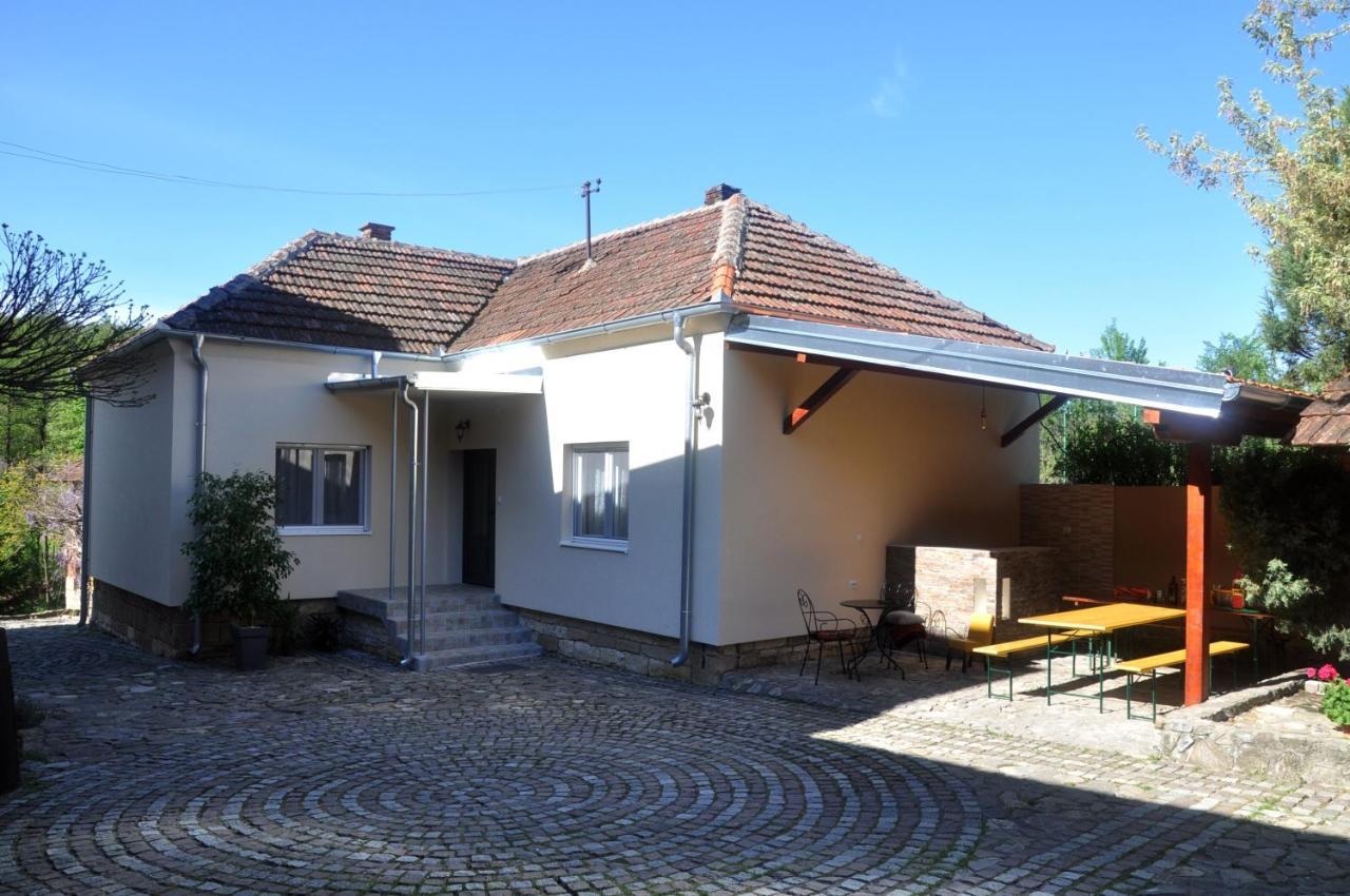 Guesthouse Djuric Negotin Esterno foto