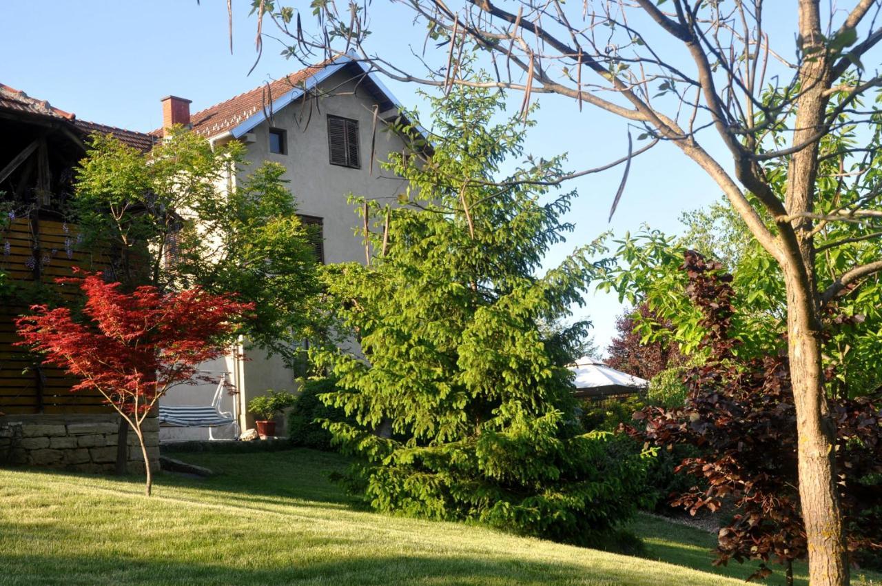 Guesthouse Djuric Negotin Esterno foto