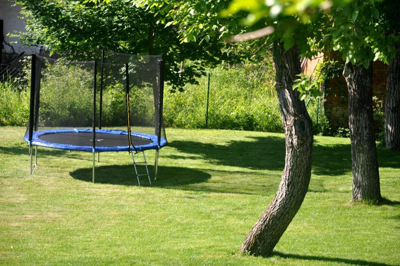 Guesthouse Djuric Negotin Esterno foto