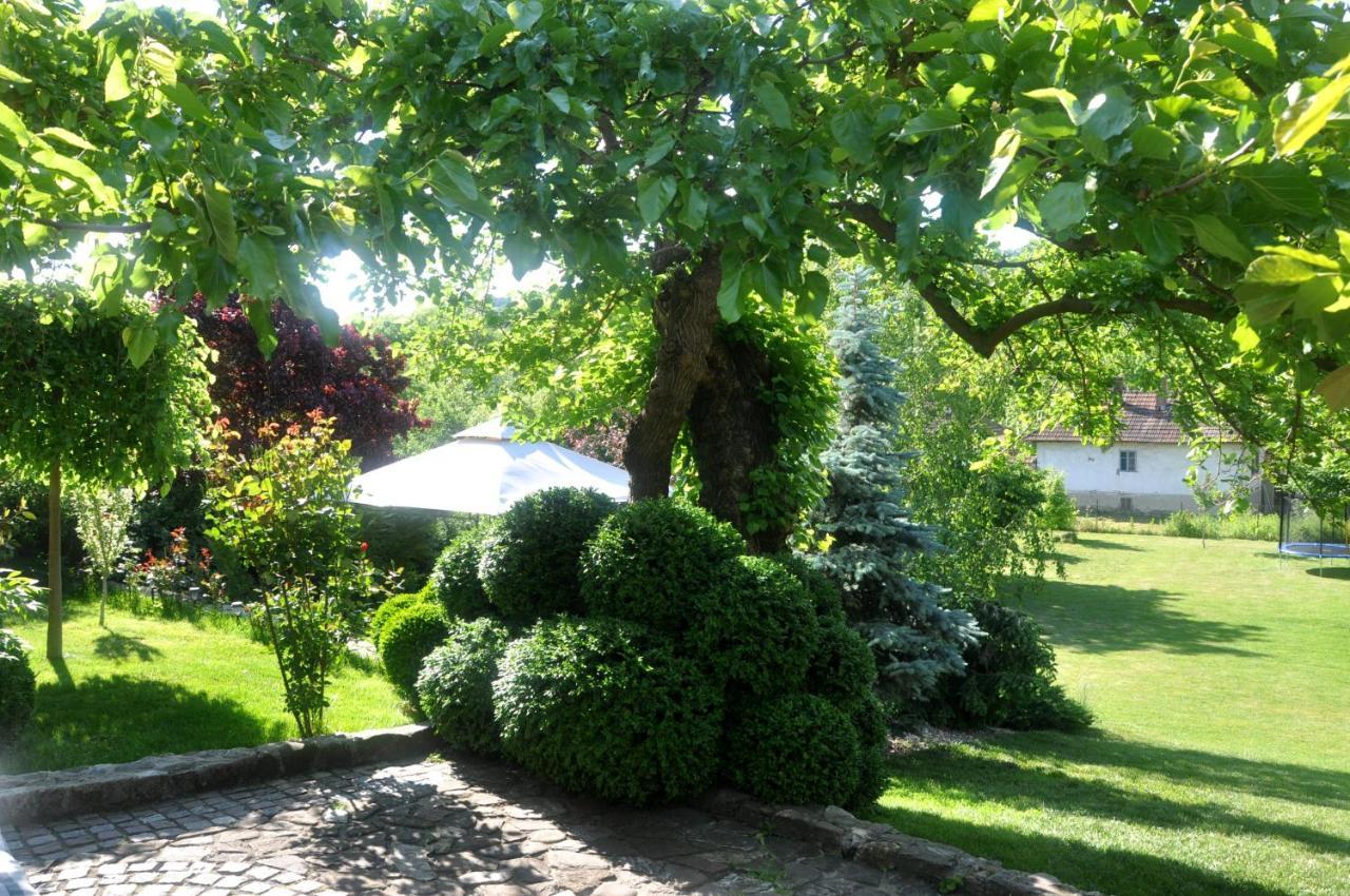 Guesthouse Djuric Negotin Esterno foto