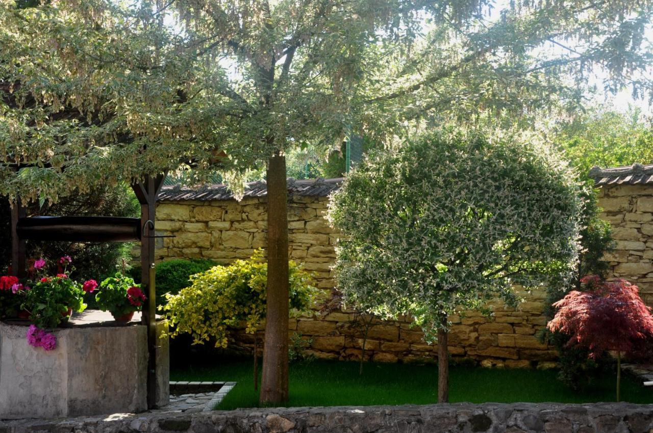 Guesthouse Djuric Negotin Esterno foto