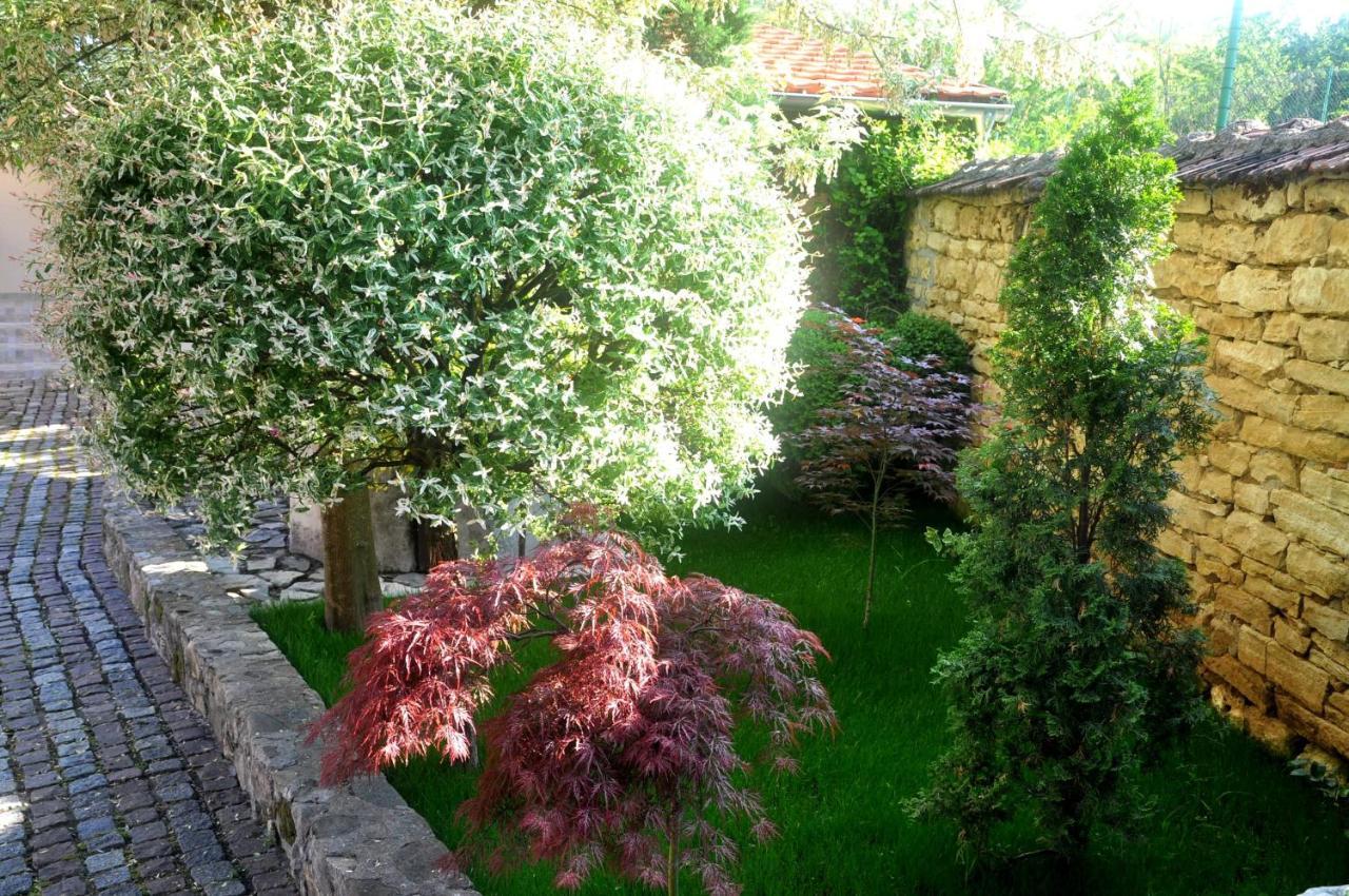 Guesthouse Djuric Negotin Esterno foto