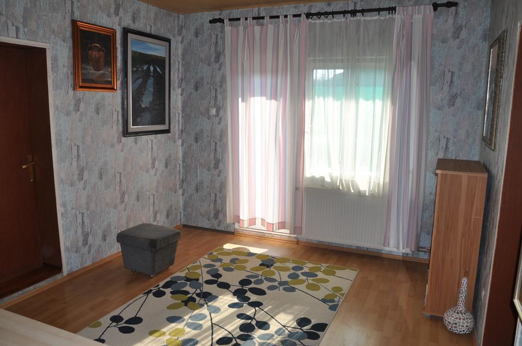 Guesthouse Djuric Negotin Esterno foto