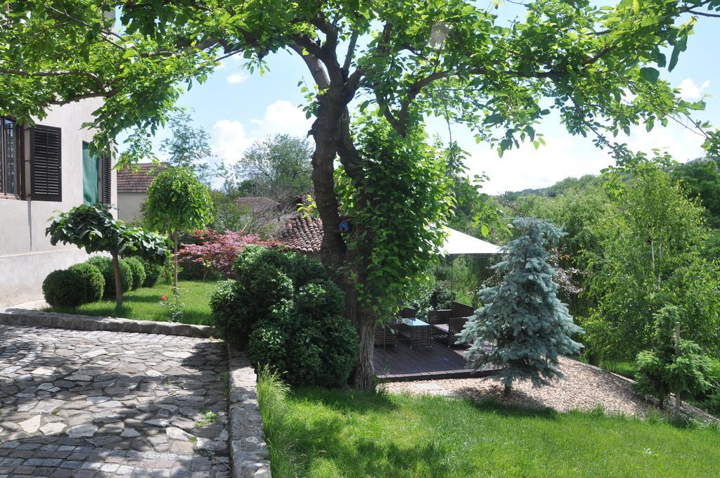 Guesthouse Djuric Negotin Esterno foto