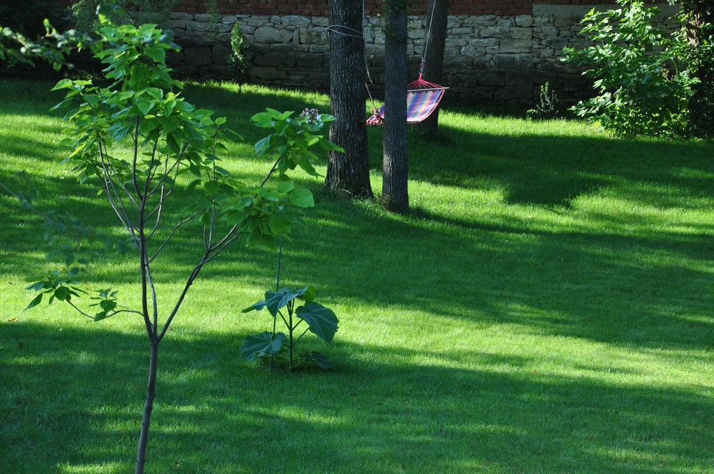 Guesthouse Djuric Negotin Esterno foto