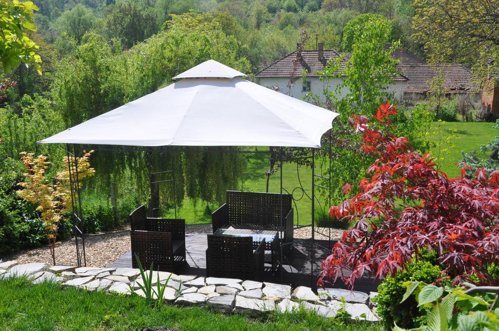 Guesthouse Djuric Negotin Esterno foto