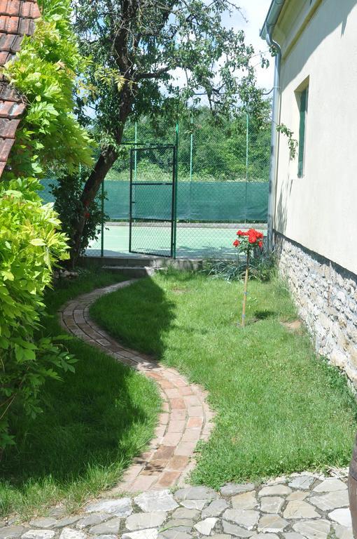 Guesthouse Djuric Negotin Esterno foto