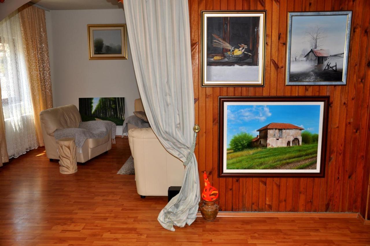 Guesthouse Djuric Negotin Esterno foto